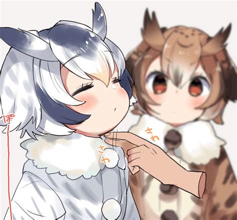 kemono chin.